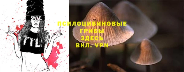 мескалин Алексин