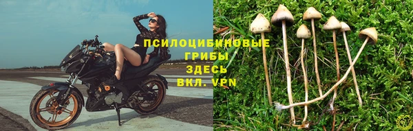 меф Аркадак